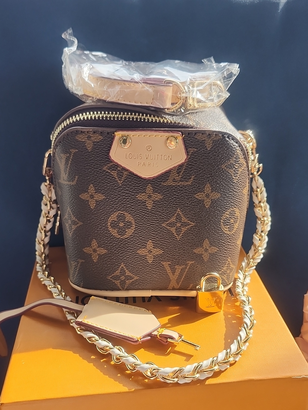 Fashion  Monogram Mini Crossbody in Brown with Gold Hardware